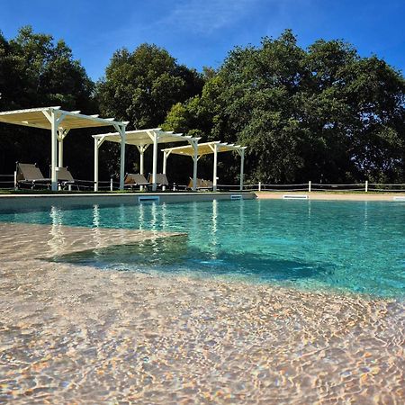 Tenuta Aronne Massa Marittima Kültér fotó
