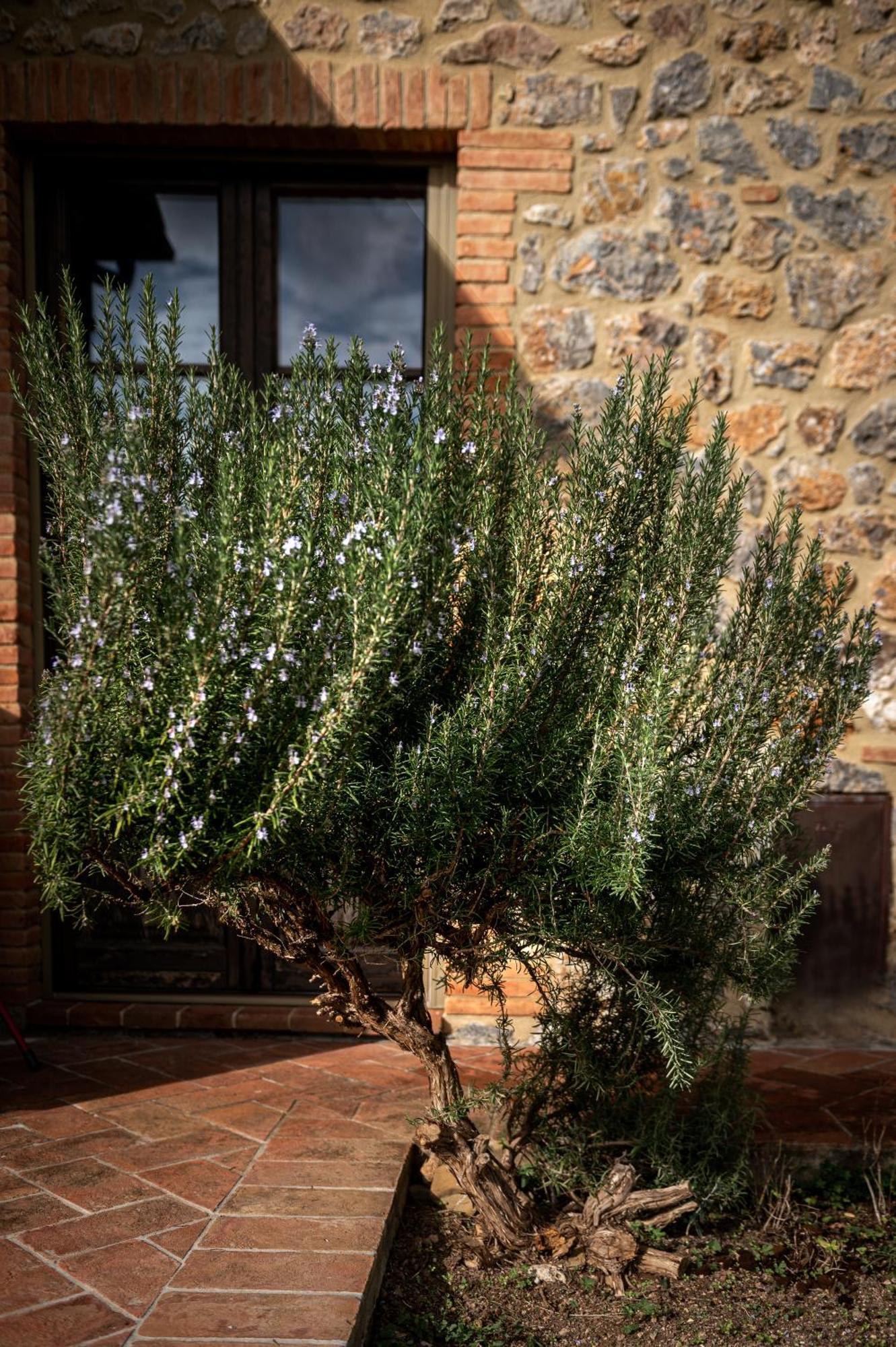 Tenuta Aronne Massa Marittima Kültér fotó