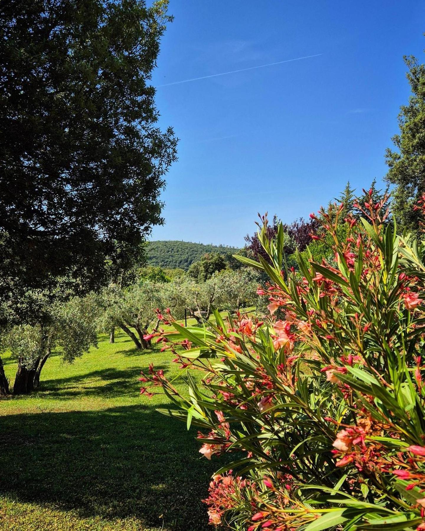 Tenuta Aronne Massa Marittima Kültér fotó