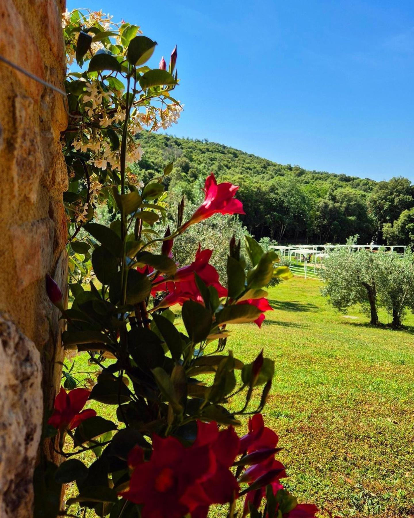 Tenuta Aronne Massa Marittima Kültér fotó